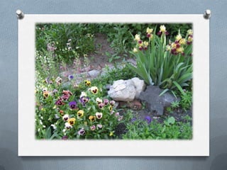 судьбы связанные с библиотекой