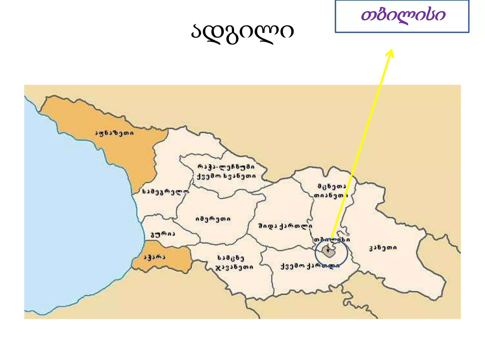 ადგილი
თბილისი
 