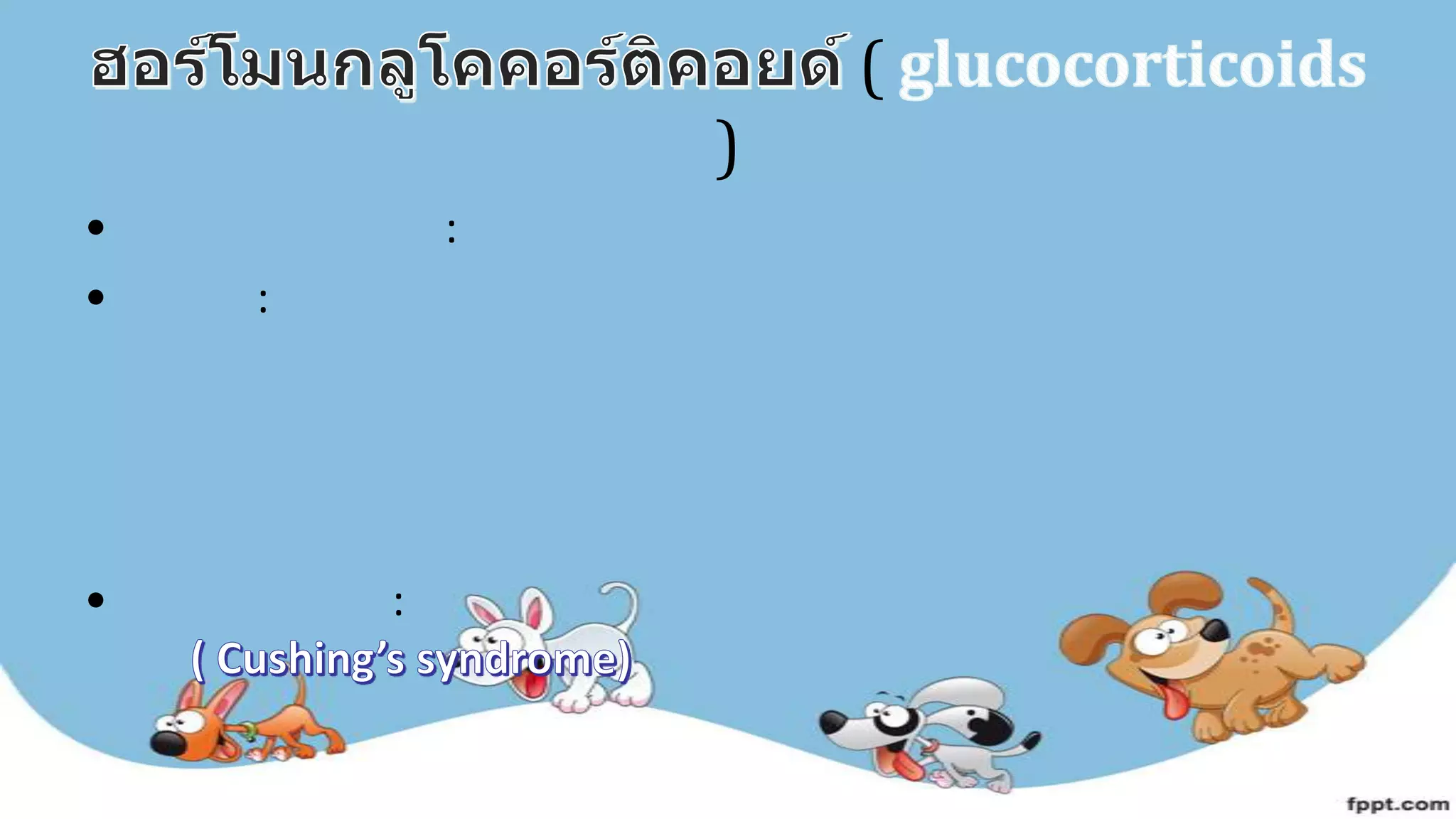 (
)
• :
• :
• :