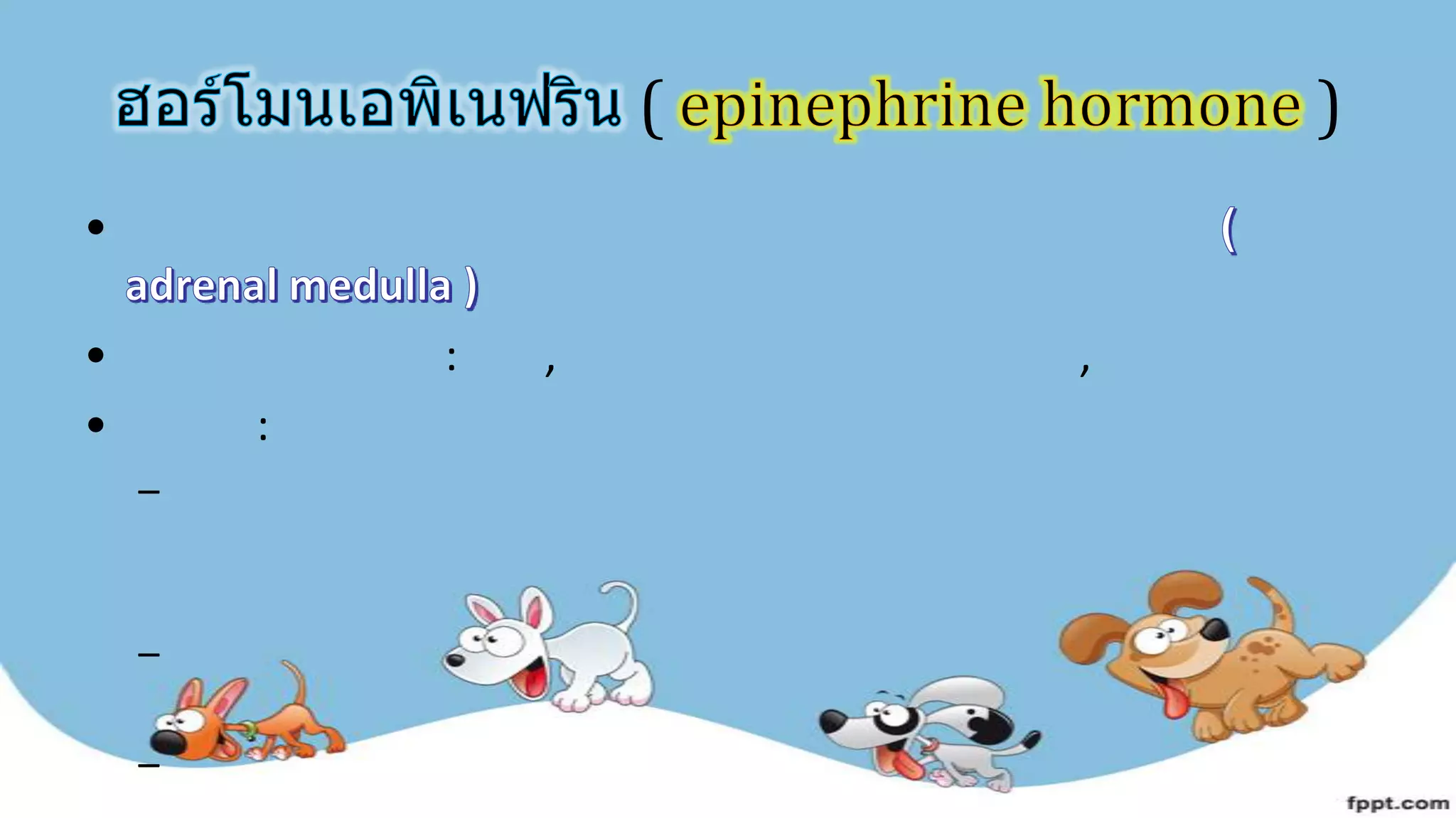 ( )
•
• : , ,
• :
–
–
–