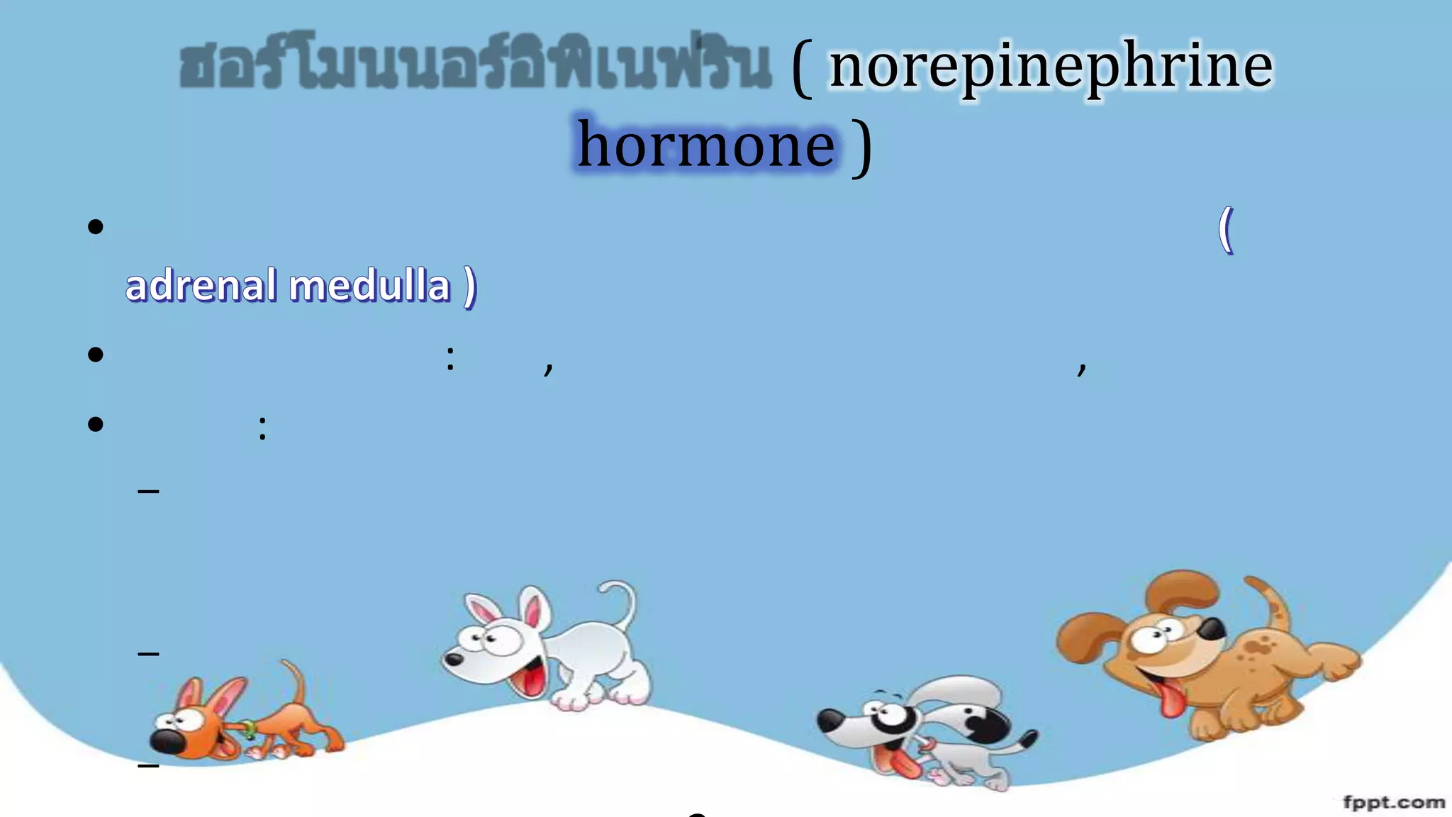 ( norepinephrine
hormone )
•
• : , ,
• :
–
–
–