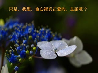 ֻǣ룬e۵ģl 
 