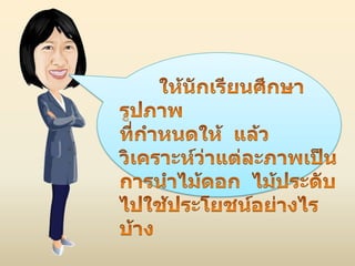 ประโยชน์ของไม้ดอก ไม้ประดับ