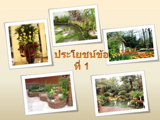 ประโยชน์ของไม้ดอก ไม้ประดับ