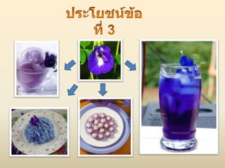 ประโยชน์ของไม้ดอก ไม้ประดับ