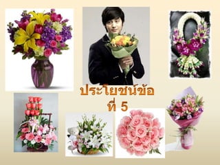 ประโยชน์ของไม้ดอก ไม้ประดับ