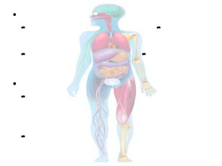 •
- –
- -
•
-
-
 