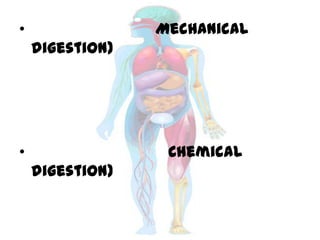 • Mechanical
digestion)
• Chemical
digestion)
 