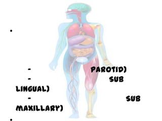 •
- Parotid)
- Sub
lingual)
- Sub
maxillary)
 