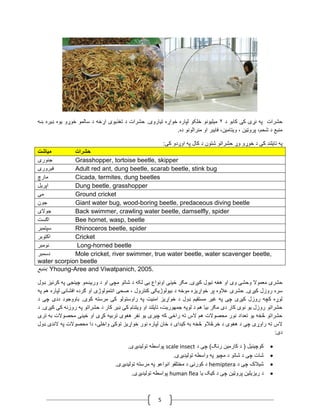 5
‫حشرات‬‫د‬ ‫کابو‬ ‫کی‬ ‫نړۍ‬ ‫په‬۳.‫تیاروی‬ ‫خواړه‬ ‫لپاره‬ ‫خلکو‬ ‫میلیونو‬‫حشرات‬‫ښه‬ ‫ډیره‬ ‫یوه‬ ‫خوړو‬ ‫سالمو‬ ‫د‬ ‫اړخه‬ ‫تغذیوی‬ ‫د‬
‫او‬ ‫فایبر‬ ،‫ویتامین‬ ، ‫پروټین‬ ،‫شحم‬ ‫د‬ ‫منبع‬.‫ده‬ ‫منرالونو‬
‫کی‬ ‫اوږدو‬ ‫په‬ ‫کال‬ ‫د‬ ‫شتون‬ ‫حشراتو‬ ‫وړ‬ ‫خوړو‬ ‫د‬ ‫کی‬ ‫تایلند‬ ‫په‬:
‫میاشت‬ ‫حشرات‬
‫جنوری‬ Grasshopper, tortoise beetle, skipper
‫فبروری‬ Adult red ant, dung beetle, scarab beetle, stink bug
‫مارچ‬ Cicada, termites, dung beetles
‫اپریل‬ Dung beetle, grasshopper
‫می‬ Ground cricket
‫جون‬ Giant water bug, wood-boring beetle, predaceous diving beetle
‫جوالی‬ Back swimmer, crawling water beetle, damselfly, spider
‫اګست‬ Bee hornet, wasp, beetle
‫سپتمبر‬ Rhinoceros beetle, spider
‫اکتوبر‬ Cricket
‫نومبر‬ Long-horned beetle
‫دسمبر‬ Mole cricket, river swimmer, true water beetle, water scavenger beetle,
water scorpion beetle
‫منبع‬: Yhoung-Aree and Viwatpanich, 2005.
‫هغه‬ ‫او‬ ‫وی‬ ‫وحشی‬ ‫معموال‬ ‫حشری‬‫نیول‬‫ډول‬ ‫کرنیز‬ ‫په‬ ‫چینجی‬ ‫وریښمو‬ ‫د‬ ‫او‬ ‫مچۍ‬ ‫شاتو‬ ‫د‬ ‫لکه‬ ‫یی‬ ‫اونواع‬ ‫ځینی‬ ‫مګر‬ .‫کیږی‬
‫سره‬‫کنترول‬ ‫بیولوژیکی‬ ‫د‬ ‫موخه‬ ‫خواړیزه‬ ‫پر‬ ‫عالوه‬ ‫حشری‬ .‫کیږی‬ ‫روزل‬‫افشانۍ‬ ‫ګرده‬ ‫او‬ ‫انتمولوژی‬ ‫صحی‬ ،‫په‬ ‫هم‬ ‫لپاره‬
.‫کوی‬ ‫مرسته‬ ‫کی‬ ‫راوستولو‬ ‫په‬ ‫امنیت‬ ‫خواړیز‬ ‫د‬ ‫ډول‬ ‫مستقیم‬ ‫غیر‬ ‫په‬ ‫چی‬ ‫کیږی‬ ‫روزل‬ ‫کچه‬ ‫لوړه‬‫د‬ ‫چی‬ ‫ددی‬ ‫باووجود‬
.‫کیږی‬ ‫کی‬ ‫روزنه‬ ‫په‬ ‫حشراتو‬ ‫د‬ ‫کار‬ ‫ډیر‬ ‫کی‬ ‫ویتنام‬ ‫او‬ ‫تایلند‬ ،‫جمهوریت‬ ‫لوپه‬ ‫د‬ ‫هم‬ ‫بیا‬ ‫مګر‬ ‫دی‬ ‫کار‬ ‫نوی‬ ‫یو‬ ‫روزل‬ ‫حشراتو‬‫د‬
‫تری‬ ‫به‬ ‫محصوالت‬ ‫ځینی‬ ‫او‬ ‫کړی‬ ‫تربیه‬ ‫هغوی‬ ‫نفر‬ ‫یو‬ ‫چیری‬ ‫که‬ ‫راځی‬ ‫ته‬ ‫الس‬ ‫هم‬ ‫محصوالت‬ ‫نور‬ ‫تعداد‬ ‫یو‬ ‫څخه‬ ‫حشراتو‬
‫خرڅ‬ ‫د‬ ‫هغوی‬ ‫د‬ ‫چی‬ ‫راوړی‬ ‫ته‬ ‫الس‬‫توکی‬ ‫خواړیز‬ ‫نور‬ ‫لپاره‬ ‫ځان‬ ‫د‬ ‫کیدای‬ ‫به‬ ‫څخه‬ ‫الو‬‫و‬‫اخل‬‫ی‬‫ډول‬ ‫الندی‬ ‫په‬ ‫محصوالت‬ ‫دا‬ ،
:‫دی‬
‫د‬ ‫چی‬ )‫رنګ‬ ‫کارمین‬ ‫د‬ ( ‫کوچینیل‬scale insect.‫تولیدیږی‬ ‫پواسطه‬
.‫تولیدیږی‬ ‫واسطه‬ ‫په‬ ‫مچیو‬ ‫د‬ ‫شاتو‬ ‫د‬ ‫چی‬ ‫شات‬
‫د‬ ‫چی‬ ‫شیالک‬hemiptera.‫تولیدیږی‬ ‫مرسته‬ ‫په‬ ‫انواعو‬ ‫مختلفو‬ ‫د‬ ‫کورنۍ‬ ‫د‬
‫یا‬ ‫کیک‬ ‫د‬ ‫چی‬ ‫پروټین‬ ‫ریزیلین‬ ‫د‬human flea.‫تولیدیږی‬ ‫پواسطه‬
 