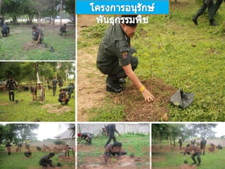 ผลงานสัปดาห์ วันที่ ๔ ๑๐ ก.ค. 56