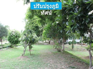 ผลงานสัปดาห์ วันที่ ๔ ๑๐ ก.ค. 56
