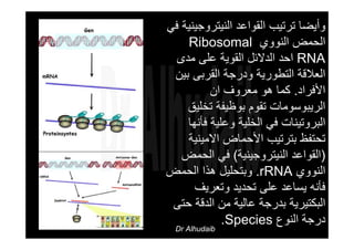‫اﻟﻘﻮاﻋﺪ‬ ‫ﺗﺮﺗﻴﺐ‬ ‫وأﻳﻀﺎ‬‫اﻟﻨﻴﺘﺮوﺟﻴﻨﻴﺔ‬‫ﻓﻲ‬
‫اﻟﻨﻮوي‬ ‫اﻟﺤﻤﺾ‬Ribosomal
RNA‫ﻣﺪى‬ ‫ﻋﻠﻰ‬ ‫اﻟﻘﻮﻳﺔ‬ ‫اﻟﺪﻻﺋﻞ‬ ‫اﺣﺪ‬
‫ﺑﻴﻦ‬ ‫اﻟﻘﺮﺑﻰ‬ ‫ودرﺟﺔ‬ ‫اﻟﺘﻄﻮرﻳﺔ‬ ‫اﻟﻌﻼﻗﺔ‬
‫اﻷﻓﺮاد‬.‫ان‬ ‫ﻣﻌﺮوف‬ ‫هﻮ‬ ‫آﻤﺎ‬
‫اﻟﺮﻳﺒﻮﺳﻮﻣﺎت‬‫ﺗﺨﻠﻴﻖ‬ ‫ﺑﻮﻇﻴﻔﺔ‬ ‫ﺗﻘﻮم‬
‫ﻓﺄﻧﻬﺎ‬ ‫وﻋﻠﻴﺔ‬ ‫اﻟﺨﻠﻴﺔ‬ ‫ﻓﻲ‬ ‫اﻟﺒﺮوﺗﻴﻨﺎت‬
‫اﻷﺣﻤﺎض‬ ‫ﺑﺘﺮﺗﻴﺐ‬ ‫ﺗﺤﺘﻔﻆ‬‫اﻻﻣﻴﻨﻴﺔ‬
)‫اﻟﻘﻮاﻋﺪ‬‫اﻟﻨﻴﺘﺮوﺟﻴﻨﻴﺔ‬(‫اﻟﺤﻤﺾ‬ ‫ﻓﻲ‬
‫اﻟﻨﻮوي‬rRNA.‫اﻟﺤﻤﺾ‬ ‫هﺬا‬ ‫وﺑﺘﺤﻠﻴﻞ‬
‫وﺗﻌﺮﻳﻒ‬ ‫ﺗﺤﺪﻳﺪ‬ ‫ﻋﻠﻰ‬ ‫ﻳﺴﺎﻋﺪ‬ ‫ﻓﺄﻧﻪ‬
‫ﺣﺘﻰ‬ ‫اﻟﺪﻗﺔ‬ ‫ﻣﻦ‬ ‫ﻋﺎﻟﻴﺔ‬ ‫ﺑﺪرﺟﺔ‬ ‫اﻟﺒﻜﺘﻴﺮﻳﺔ‬
‫اﻟﻨﻮع‬ ‫درﺟﺔ‬Species.
Dr Alhudaib
 