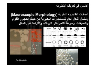 ‫اﻟﺒﻜﺘﻴﺮﻳﺎ‬ ‫ﺗﻌﺮﻳﻒ‬ ‫ﻓﻲ‬ ‫اﻷﺳﺲ‬:
‫اﻟﻨﻈﺮﻳﺔ‬ ‫اﻟﻈﺎهﺮﻳﺔ‬ ‫اﻟﺼﻔﺎت‬)Macroscopic Morphology(
‫اﻟﻘﻮام‬ ‫و‬ ‫اﻟﺤﺠﻢ‬ ‫ﺣﻴﺚ‬ ‫ﻣﻦ‬ ‫اﻟﺒﻜﺘﻴﺮﻳﺔ‬ ‫ﻟﻠﻤﺴﺘﻌﻤﺮات‬ ‫اﻟﻌﺎم‬ ‫أﺷﻜﻞ‬ ‫وﺗﺸﻤﻞ‬
‫واﻟﺼﺒﻐﺎت‬‫اﻟﻌﺎﺋﻞ‬ ‫ﻋﻠﻰ‬ ‫وﺗﺄﺛﺮاهﺎ‬ ،‫اﻟﺒﻴﺌﺎت‬ ‫ﻋﻠﻰ‬ ‫اﻟﻨﻤﻮ‬ ‫وﺳﺮﻋﺔ‬
Dr Alhudaib
 