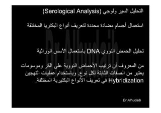 ‫وﻟﻮﺟﻲ‬ ‫اﻟﺴﻴﺮ‬ ‫اﻟﺘﺤﻠﻴﻞ‬)Serological Analysis(
‫اﻟﻤﺨﺘﻠﻔﺔ‬ ‫اﻟﺒﻜﺘﺮﻳﺎ‬ ‫أﻧﻮاع‬ ‫ﻟﺘﻌﺮﻳﻒ‬ ‫ﻣﺤﺪدة‬ ‫ﻣﻀﺎدة‬ ‫أﺟﺴﺎم‬ ‫اﺳﺘﻌﻤﺎل‬
‫اﻟﻨﻮوي‬ ‫اﻟﺤﻤﺾ‬ ‫ﺗﺤﻠﻴﻞ‬DNA‫اﻟﻮراﺛﻴﺔ‬ ‫اﻷﺳﺲ‬ ‫ﺑﺎﺳﺘﻌﻤﺎل‬
‫وﻣﻮﺳﻮﻣﺎت‬ ‫اﻟﻜﺮ‬ ‫ﻋﻠﻰ‬ ‫اﻟﻨﻮوﻳﺔ‬ ‫اﻷﺣﻤﺎض‬ ‫ﺗﺮﺗﻴﺐ‬ ‫أن‬ ‫اﻟﻤﻌﺮوف‬ ‫ﻣﻦ‬
‫ﻧﻮع‬ ‫ﻟﻜﻞ‬ ‫اﻟﺜﺎﺑﺘﺔ‬ ‫اﻟﺼﻔﺎت‬ ‫ﻣﻦ‬ ‫ﻳﻌﺘﺒﺮ‬.‫اﻟﺘﻬﺠﻴﻦ‬ ‫ﻋﻤﻠﻴﺎت‬ ‫وﺑﺎﺳﺘﺨﺪام‬
Hybridization‫اﻟﻤﺨﺘﻠﻔﺔ‬ ‫اﻟﺒﻜﺘﻴﺮﻳﺔ‬ ‫اﻷﻧﻮاع‬ ‫ﺗﻌﺮﻳﻒ‬ ‫ﻓﻲ‬.
Dr Alhudaib
 