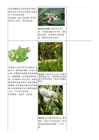 各種植物 十二生肖與花 十二星座與花