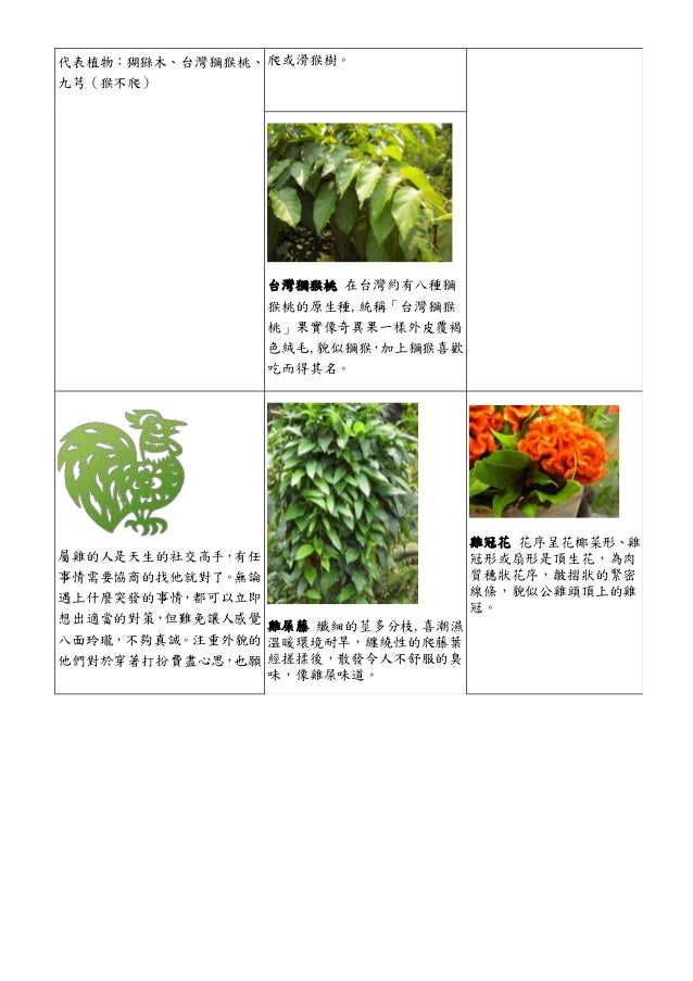 各種植物 十二生肖與花 十二星座與花