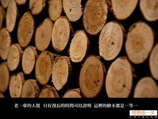 老一輩的人 只有漫長的時間可以證明 這裡的檜木都是一等一說
 