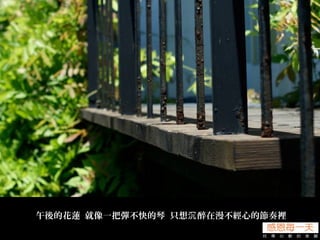 午後的花蓮 就像一把彈不快的琴 只想 醉在漫不經心的節奏裡沉
 