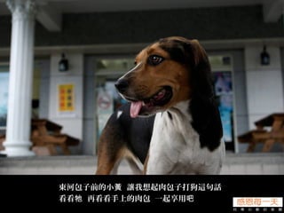 東河包子前的小 讓我想起肉包子打狗這句話黃
看看 再看看手上的肉包 一起享用牠 吧
 