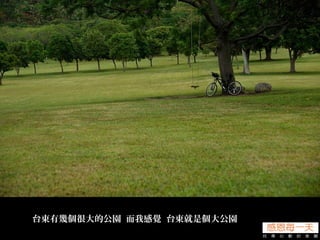 台東有幾個很大的公園 而我感覺 台東就是個大公園
 