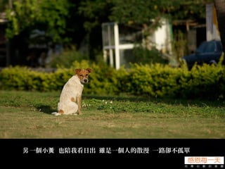 一個小 也陪我看日出 雖是一個人的散漫 一路卻不孤單另 黃
 