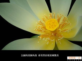 公園的某個角落 會突然出現某種驚喜
 