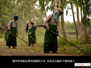雖然穿的像是 州電鋸的主角 其實是公園 辛勤的園丁德 內
 