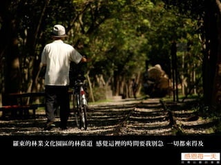 羅東的林業文化園區的林蔭道 感覺這裡的時間要我別急 一切都來得及
 