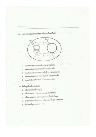 ชีววิทยา