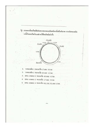 ชีววิทยา