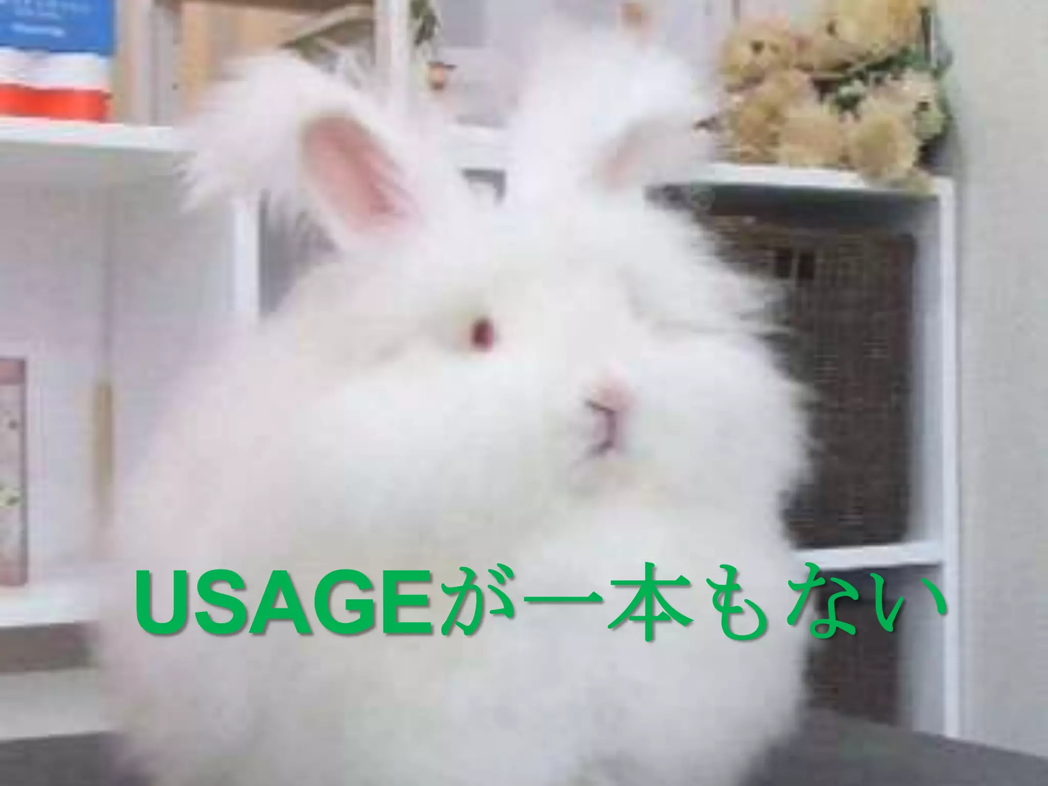 USAGEが一本もない
 