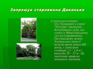 Запрошує старовинна ДиканькаЗапрошує старовинна Диканька
Славляться оспіваніСлавляться оспівані
О.С.Пушкіним у поеміО.С.Пушкіним у поемі
"Полтава" вікопомні"Полтава" вікопомні
Кочубеївські дуби, щоКочубеївські дуби, що
стоять у Миколаївськомустоять у Миколаївському
лісі на старовинномулісі на старовинному
Полтавському шляху.Полтавському шляху.
Залишилося лише 4Залишилося лише 4
велетні віком понад 600велетні віком понад 600
років, з діаметромроків, з діаметром
стовбура 1,5 – 1,8 м істовбура 1,5 – 1,8 м і
висотою 20 – 22 м . Цевисотою 20 – 22 м . Це
пам'ятник природипам'ятник природи
місцевого значення.місцевого значення.
 