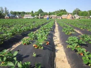 Тростянецька РЦБС