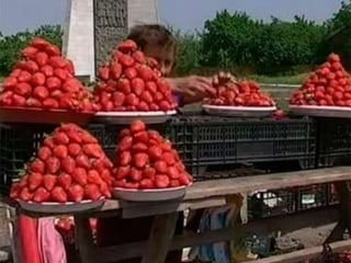 Тростянецька РЦБС