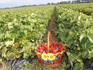 Тростянецька РЦБС