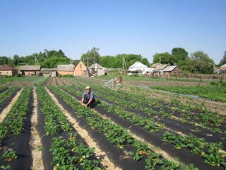 Тростянецька РЦБС