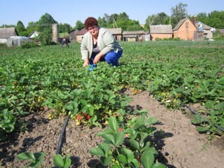 Тростянецька РЦБС