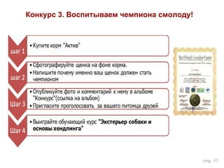 Конкурс 3. Воспитываем чемпиона смолоду!
стр. 17
 