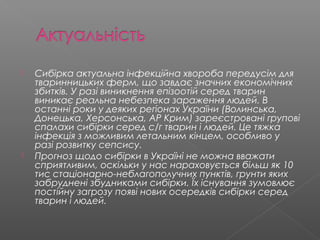 сибірка | PPT