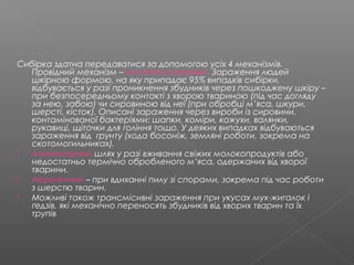 сибірка | PPT