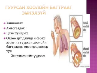 багтраа | PPT