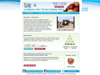 How to Create and Launch a Successful Online Fundraising Campaign (Heb)
