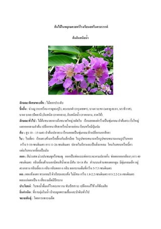ต้นไม้ในพฤกษศาสตร์โรงเรียนสตรีนครสวรรค์
ต้นอินทนิลน้า
ลักษณะพิเศษของพืช : ไม้ดอกประดับ
ชื่ออื่น : ฉ่วงมู (กะเหรี่ยง-กาญจนบุรี), ตะแบกดา (กรุงเทพฯ), บางอ บะซา (มลายู-ยะลา, นราธิวาส),
บาเอ บาเย (ปัตตานี),อินทนิล (ภาคกลาง), อินทนิลน้า (ภาคกลาง, ภาคใต้)
ลักษณะทั่วไป : ไม้ต้นขนาดกลางถึงขนาดใหญ่ ผลัดใบ เรือนยอดแผ่กว้างเป็นพุ่มกลม ลาต้นตรง กิ่งใหญ่
แตกออกตามลาต้น เปลือกหนาสีเทาหรือน้าตาลอ่อน เรียบหรือมีปุ่มปม
ต้น : สูง 10 – 15 เมตร ลาต้นเปลาตรง เรือนยอดเป็นพุ่มกลม ผิวเปลือกนอกสีเทา
ใบ : ใบเดี่ยว เรียงตรงข้ามหรือเยื้องกันเล็กน้อย ใบรูปขอบขนานหรือรูปขอบขนานแกมรูปใบหอก
กว้าง 5-10 เซนติเมตร ยาว 11-26 เซนติเมตร ปลายใบเรียวและเป็นติ่งแหลม โคนใบสอบหรือเบี้ยว
แผ่นใบหนาเกลี้ยงเป็นมัน
ดอก : สีม่วงสด ม่วงปนชมพูหรือชมพู ออกเป็นช่อแบบช่อกระจะตามปลายกิ่ง ช่อดอกออกเอียงๆ ยาว 40
เซนติเมตร กลีบเลี้ยงด้านนอกมีขนสีน้าตาล มีสัน 10-14 สัน ส่วนบนส่วนชองดอกตูม มีตุ่มกลมเล็ก อยู่
ตรงกลาง กลีบเลี้ยง 6 กลีบ กลีบดอก 6 กลีบ ดอกบานเต็มที่กว้าง 5-7.5 เซนติเมตร
ผล : ผลแห้งแตก ทรงกลมรี ผิวเรียบและเเข็ง ไม่มีขน กว้าง 1.8-2.2 เซนติเมตร ยาว 2.2-2.6 เซนติเมตร
ผลแแก่เเตกเป็น 6 เสี่ยง เมล็ดมีปีกบาง
ประโยชน์ : ใบชงน้าดื่มแก้โรคเบาหวาน ขับปัสสาวะ เปลือกแก้ไข้แก้ท้องเสีย
ถิ่นกาเนิด : ที่ราบลุ่มริมน้า ป่าเบญจพรรณชื้นและป่าดิบทั่วไป
ขยายพันธุ์ : โดยการเพาะเมล็ด
 