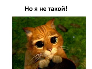 Но я не такой!