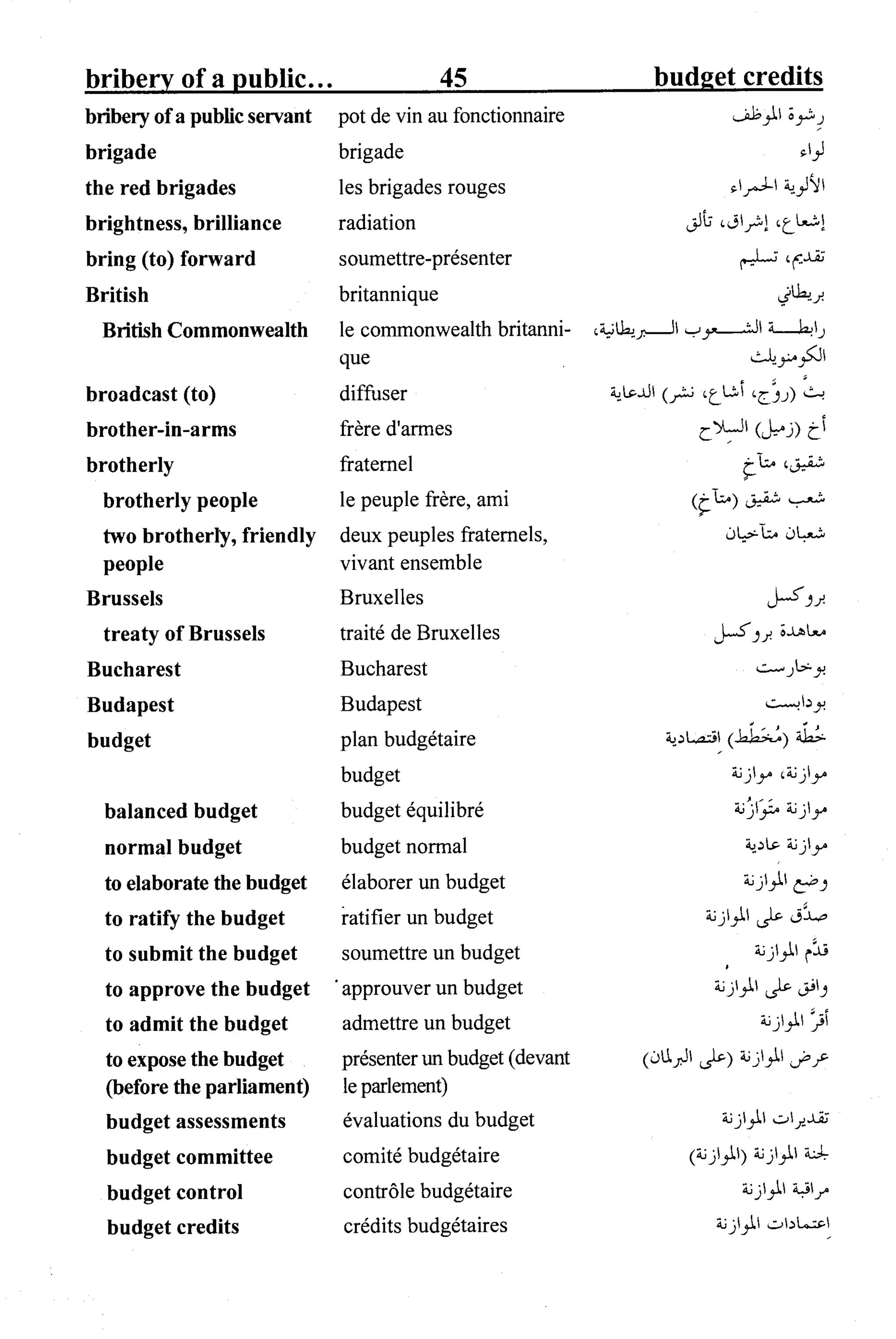 القاموس السياسي ومصطلحات المؤتمرات الدولية 