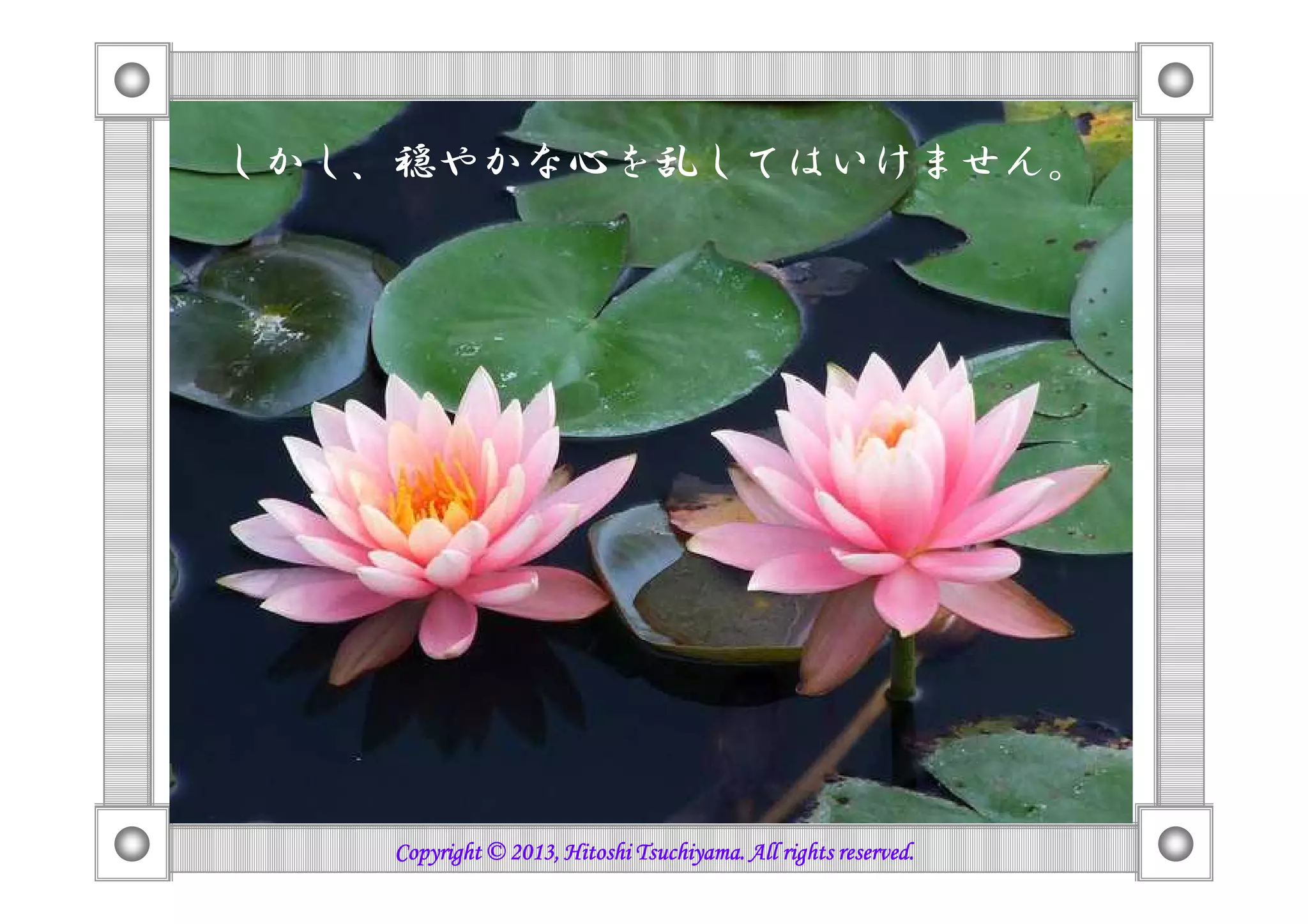 しかし、穏やかな心を乱してはいけません。
Copyright © 2013, HitoshiCopyright © 2013, HitoshiCopyright © 2013, HitoshiCopyright © 2013, Hitoshi TsuchiyamaTsuchiyamaTsuchiyamaTsuchiyama. All rights reserved.. All rights reserved.. All rights reserved.. All rights reserved.
 