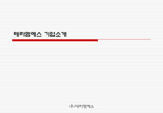 테라엠에스 기업소개
 