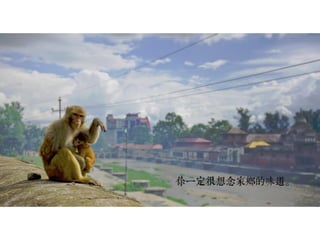 非常嬌點Vol.1 - 黃于洋 - 歐北來團隊