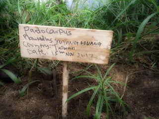 非常嬌點Vol.1 - 黃于洋 - 歐北來團隊